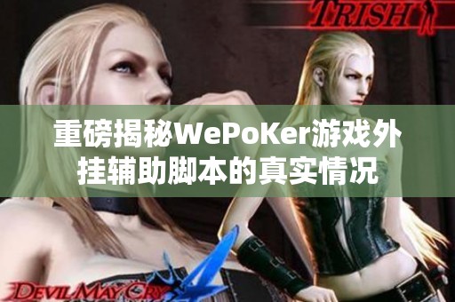 重磅揭秘WePoKer游戏外挂辅助脚本的真实情况