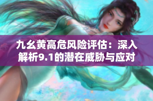 九幺黄高危风险评估：深入解析9.1的潜在威胁与应对策略