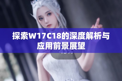 探索W17C18的深度解析与应用前景展望