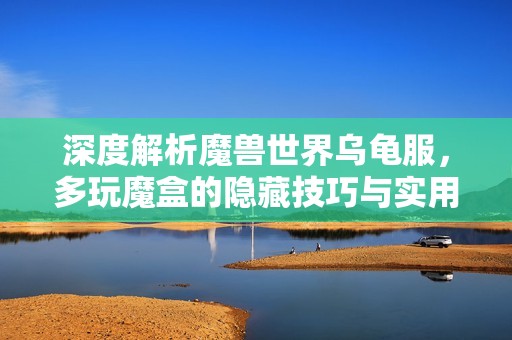 深度解析魔兽世界乌龟服，多玩魔盒的隐藏技巧与实用攻略