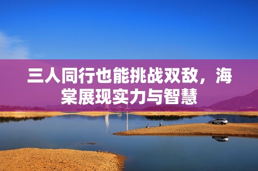 三人同行也能挑战双敌，海棠展现实力与智慧