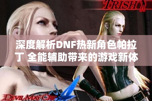 深度解析DNF热新角色帕拉丁 全能辅助带来的游戏新体验