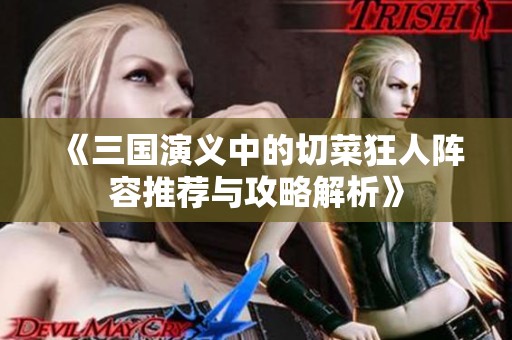 《三国演义中的切菜狂人阵容推荐与攻略解析》