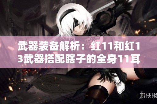武器装备解析：红11和红13武器搭配瞎子的全身11耳环与左槽漫游体验