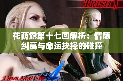 花荫露第十七回解析：情感纠葛与命运抉择的碰撞