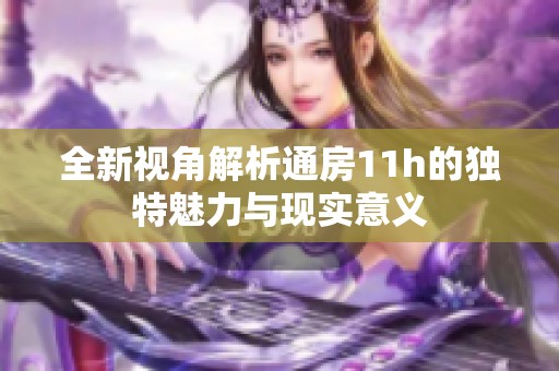全新视角解析通房11h的独特魅力与现实意义