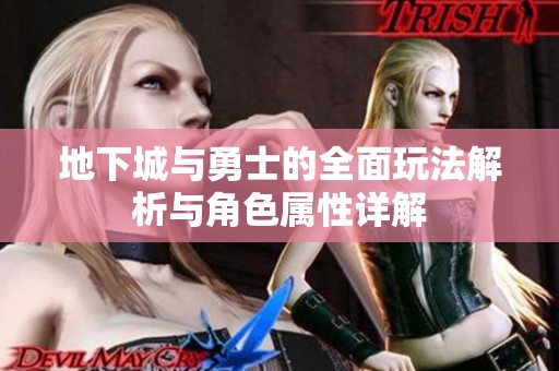 地下城与勇士的全面玩法解析与角色属性详解