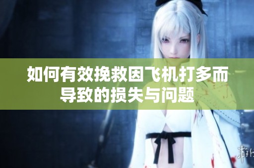 如何有效挽救因飞机打多而导致的损失与问题