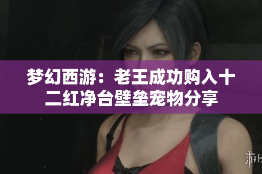 梦幻西游：老王成功购入十二红净台壁垒宠物分享