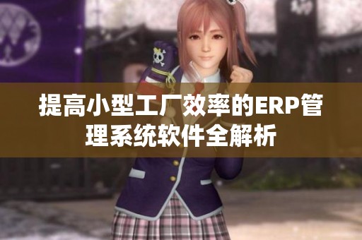 提高小型工厂效率的ERP管理系统软件全解析