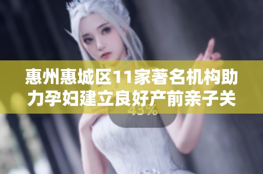 惠州惠城区11家著名机构助力孕妇建立良好产前亲子关系
