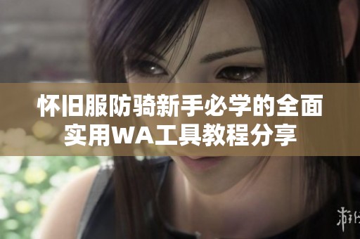 怀旧服防骑新手必学的全面实用WA工具教程分享