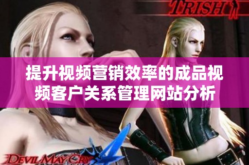 提升视频营销效率的成品视频客户关系管理网站分析