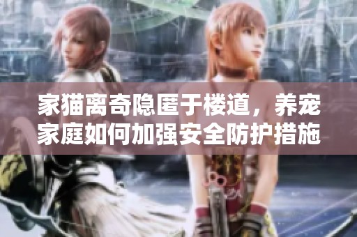 家猫离奇隐匿于楼道，养宠家庭如何加强安全防护措施