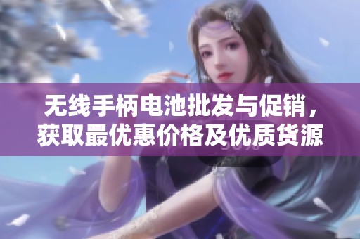 无线手柄电池批发与促销，获取最优惠价格及优质货源