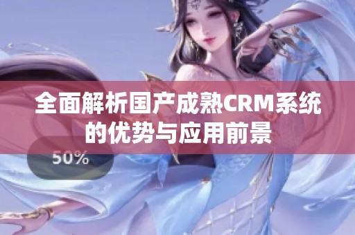 全面解析国产成熟CRM系统的优势与应用前景