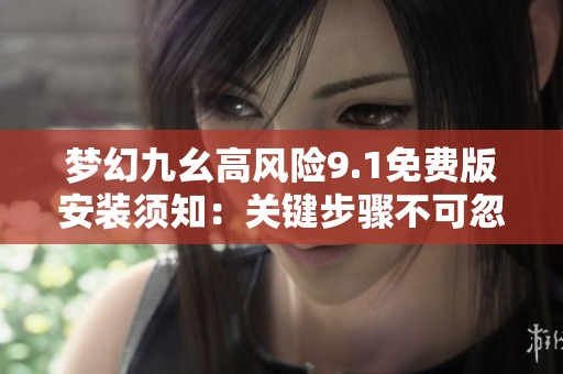 梦幻九幺高风险9.1免费版安装须知：关键步骤不可忽略