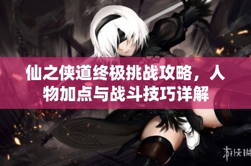仙之侠道终极挑战攻略，人物加点与战斗技巧详解