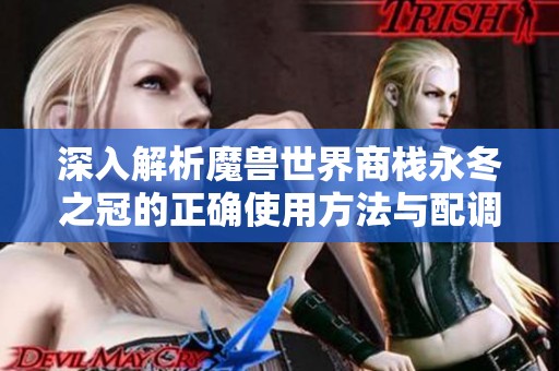 深入解析魔兽世界商栈永冬之冠的正确使用方法与配调料包攻略