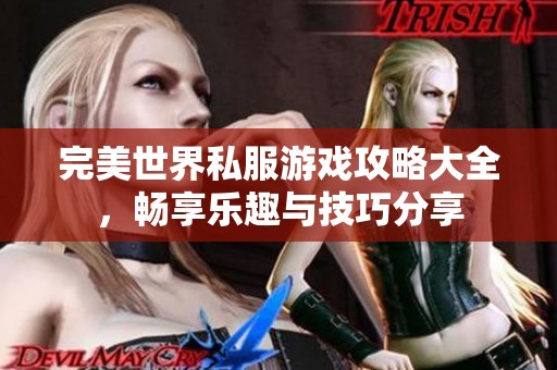 完美世界私服游戏攻略大全，畅享乐趣与技巧分享