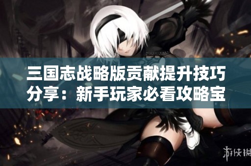 三国志战略版贡献提升技巧分享：新手玩家必看攻略宝典