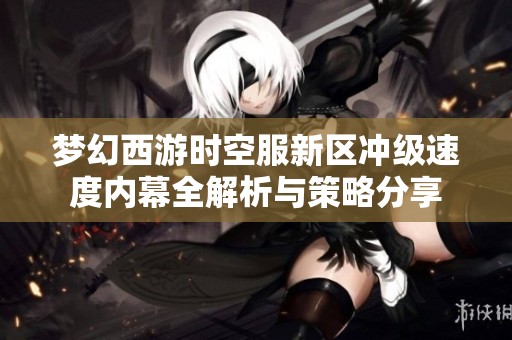 梦幻西游时空服新区冲级速度内幕全解析与策略分享
