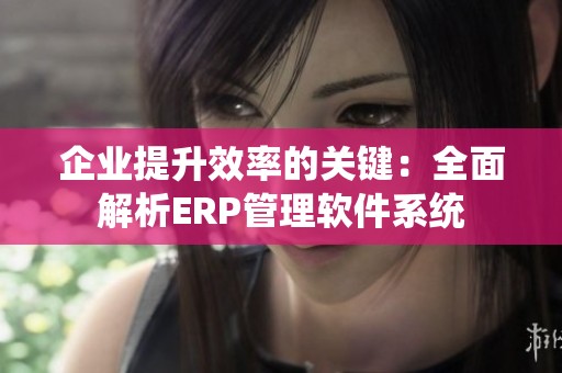 企业提升效率的关键：全面解析ERP管理软件系统