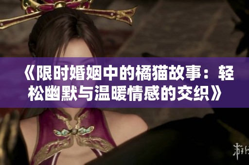 《限时婚姻中的橘猫故事：轻松幽默与温暖情感的交织》