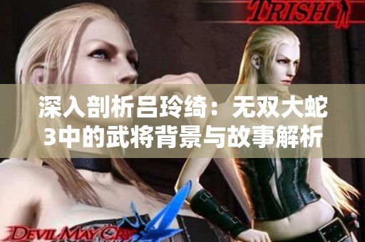深入剖析吕玲绮：无双大蛇3中的武将背景与故事解析
