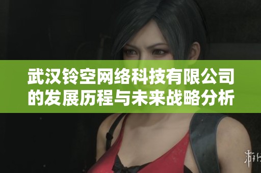 武汉铃空网络科技有限公司的发展历程与未来战略分析
