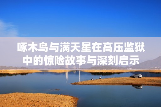 啄木鸟与满天星在高压监狱中的惊险故事与深刻启示