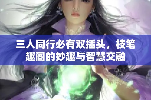 三人同行必有双插头，枝笔趣阁的妙趣与智慧交融