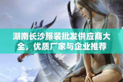 湖南长沙服装批发供应商大全，优质厂家与企业推荐
