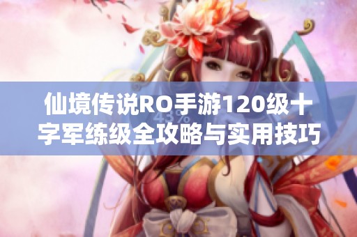 仙境传说RO手游120级十字军练级全攻略与实用技巧分享