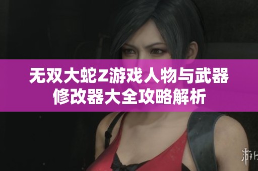 无双大蛇Z游戏人物与武器修改器大全攻略解析