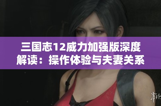 三国志12威力加强版深度解读：操作体验与夫妻关系的独特设定分析