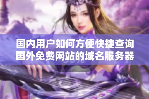 国内用户如何方便快捷查询国外免费网站的域名服务器