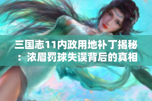 三国志11内政用地补丁揭秘：浓眉罚球失误背后的真相与挑战