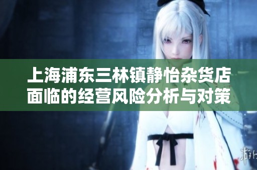 上海浦东三林镇静怡杂货店面临的经营风险分析与对策