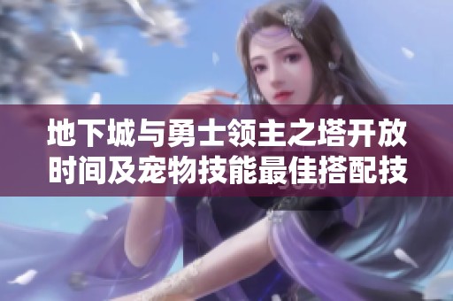 地下城与勇士领主之塔开放时间及宠物技能最佳搭配技巧解析