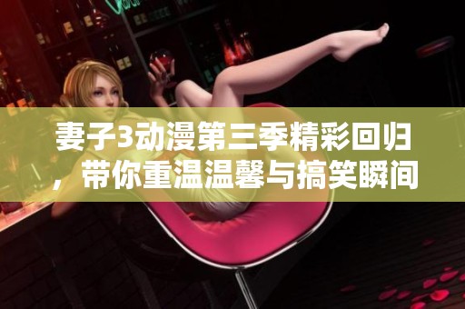 妻子3动漫第三季精彩回归，带你重温温馨与搞笑瞬间