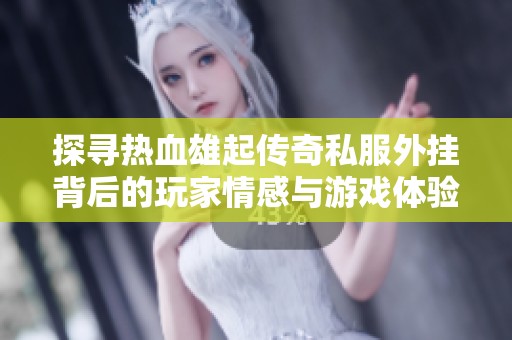 探寻热血雄起传奇私服外挂背后的玩家情感与游戏体验之争