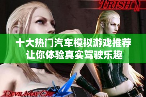 十大热门汽车模拟游戏推荐 让你体验真实驾驶乐趣