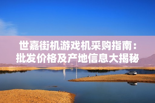 世嘉街机游戏机采购指南：批发价格及产地信息大揭秘