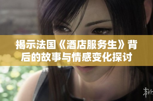揭示法国《酒店服务生》背后的故事与情感变化探讨
