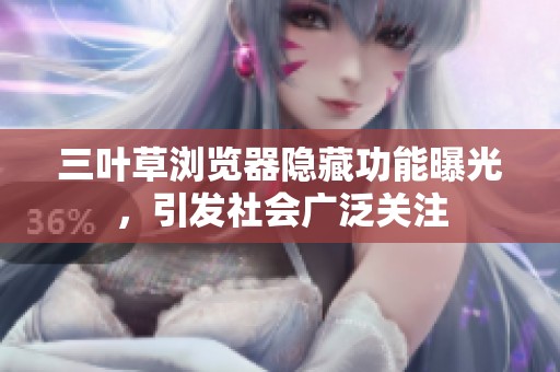 三叶草浏览器隐藏功能曝光，引发社会广泛关注