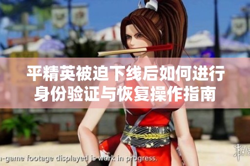 平精英被迫下线后如何进行身份验证与恢复操作指南