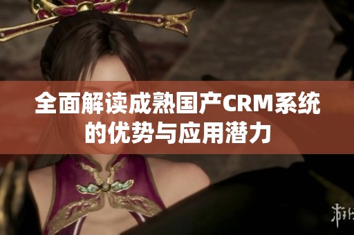 全面解读成熟国产CRM系统的优势与应用潜力