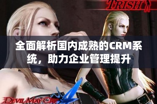 全面解析国内成熟的CRM系统，助力企业管理提升