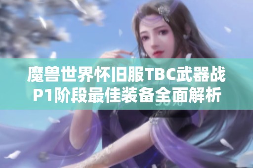 魔兽世界怀旧服TBC武器战P1阶段最佳装备全面解析